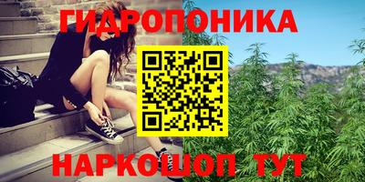 гидропоника Шахты
