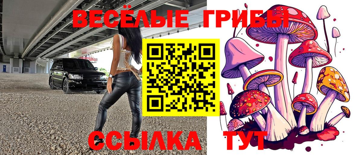 Воткинск  продажа наркотиков  Вход с VPN  Галлюциногенные грибы MAGIC MUSHROOMS  Галлюциногенные грибы прущие грибы 